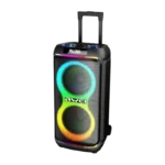 AWEI KT33 Bluetooth Speaker Troly with 2 Microphone